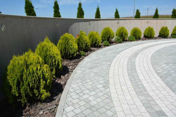 Best Interlocking Driveway Pavers  in Mescal, AZ